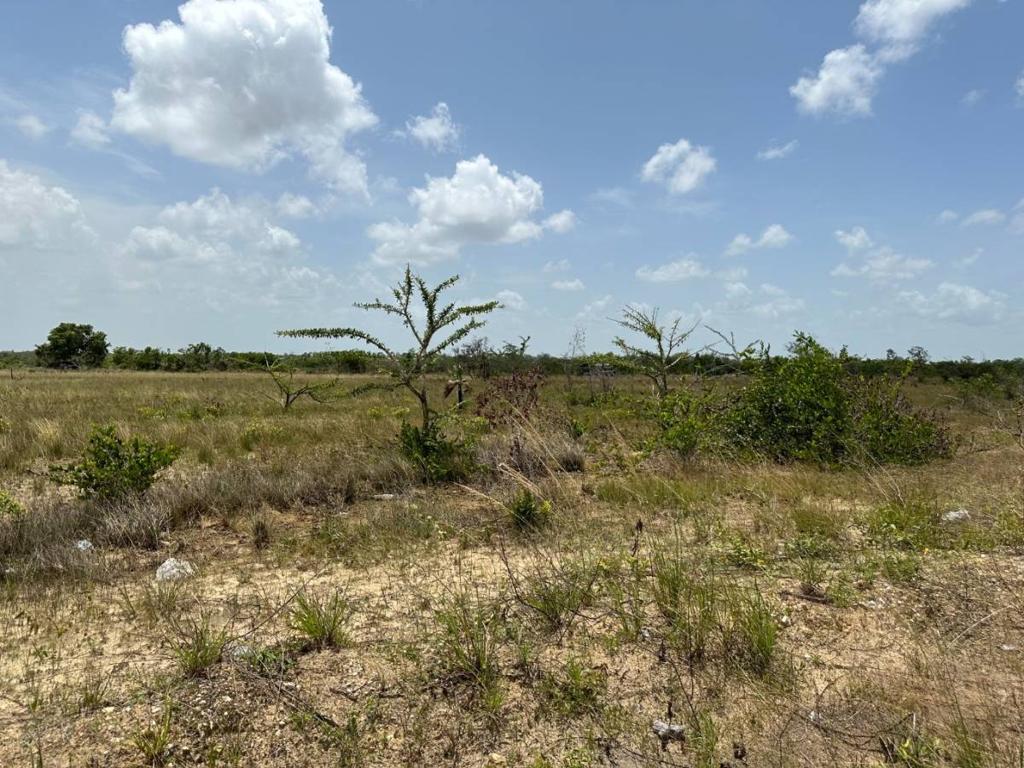 listing image with ID 103233