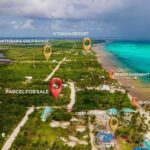 listing image thumbnail with ID 95700