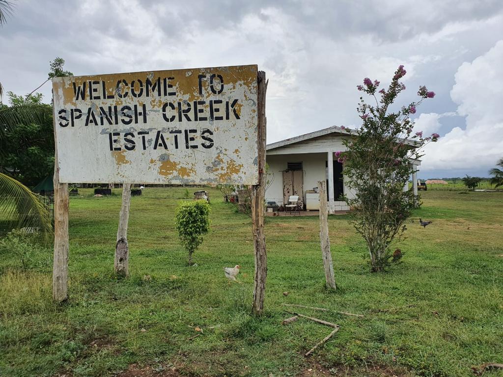 listing image with ID 98285