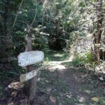 listing image thumbnail with ID 92277