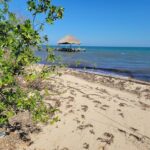 listing image thumbnail with ID 79611