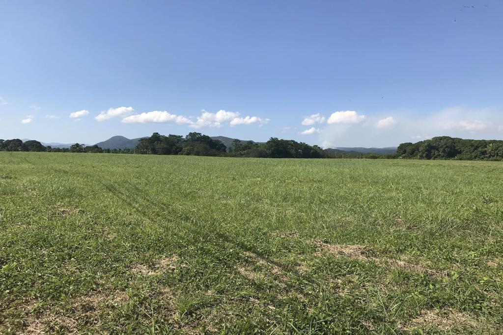 listing image with ID 102124