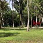 listing image thumbnail with ID 87475
