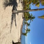 listing image thumbnail with ID 79887