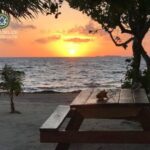 listing image thumbnail with ID 102499