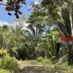 listing image thumbnail with ID 90249