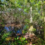 listing image thumbnail with ID 76096