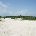 listing image thumbnail with ID 103244