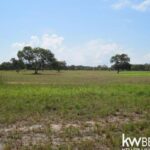 listing image thumbnail with ID 75665