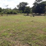 listing image thumbnail with ID 100155