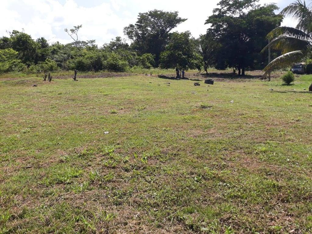 listing image with ID 100155