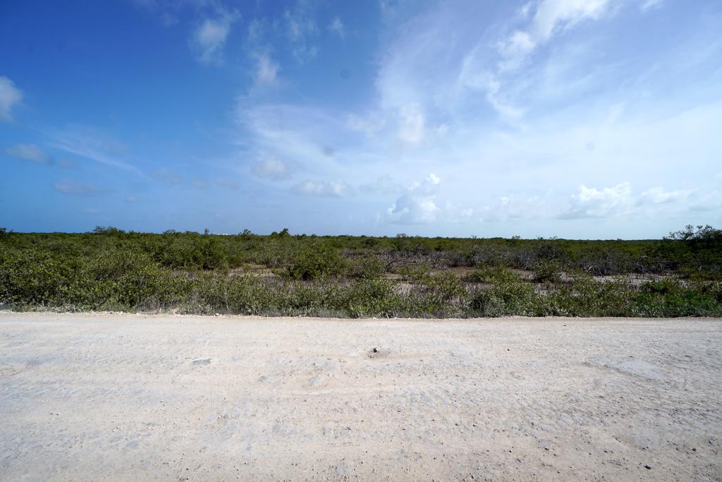 listing image with ID 108556