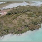 listing image thumbnail with ID 100234