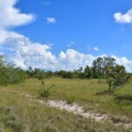 listing image thumbnail with ID 108602