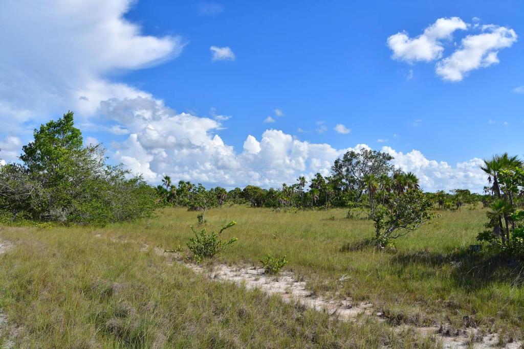 listing image with ID 108602