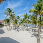 listing image thumbnail with ID 83788