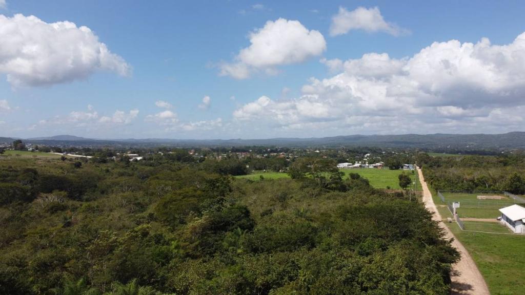 listing image with ID 76342