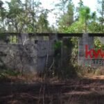 listing image thumbnail with ID 84562