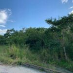 listing image thumbnail with ID 78950