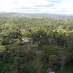 listing image thumbnail with ID 77448