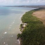 listing image thumbnail with ID 84079