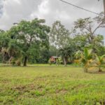 listing image thumbnail with ID 80490