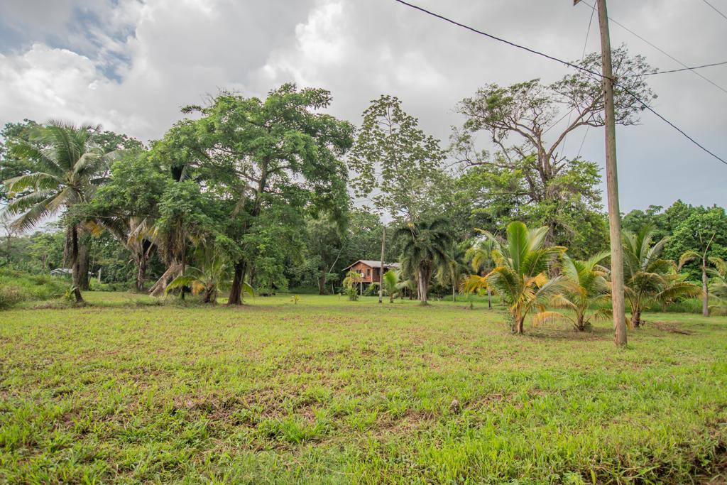 listing image with ID 80490