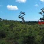 listing image thumbnail with ID 103664