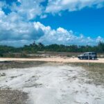 listing image thumbnail with ID 98542