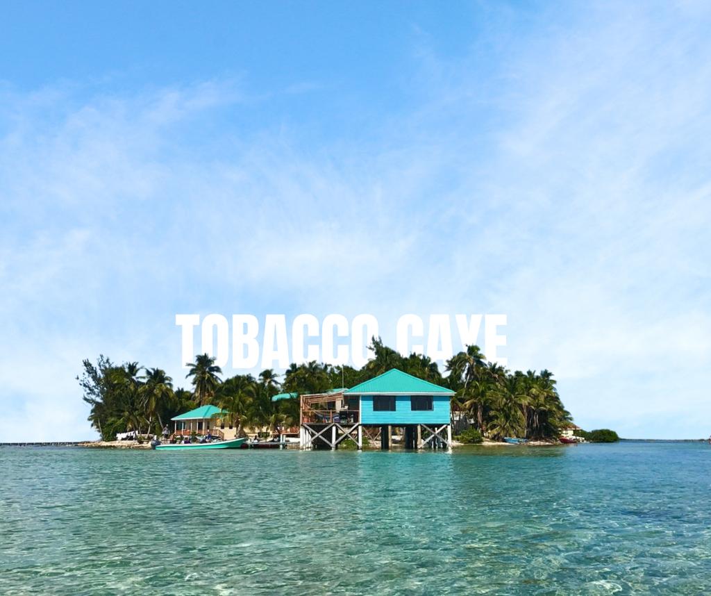 listing image with ID 78751