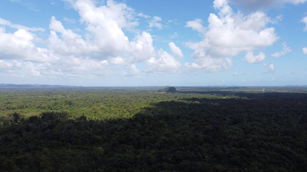 listing image with ID 77455