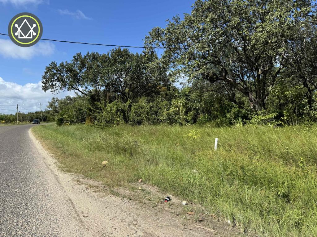 listing image with ID 86506