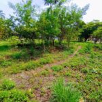 listing image thumbnail with ID 78039