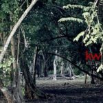 listing image thumbnail with ID 85932