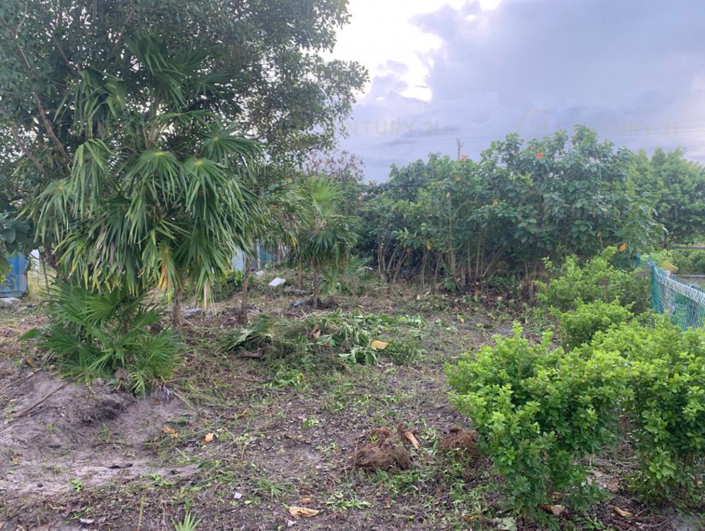 listing image with ID 97415