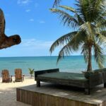 listing image thumbnail with ID 88762