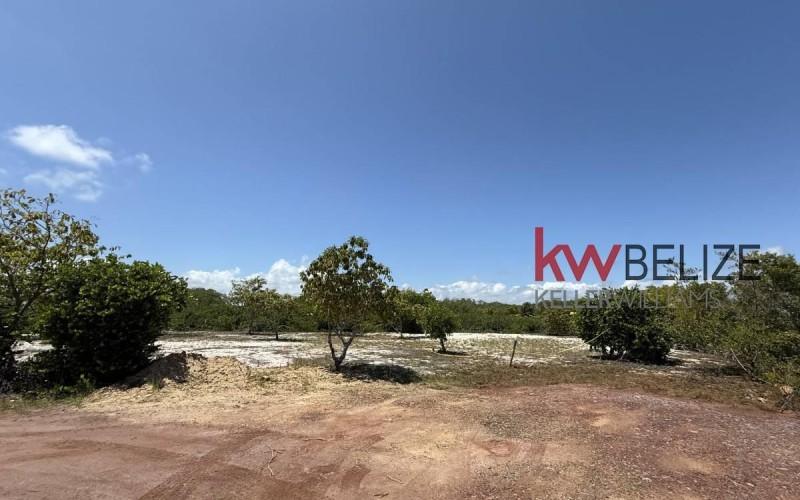 listing image with ID 84984
