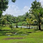 listing image thumbnail with ID 106035