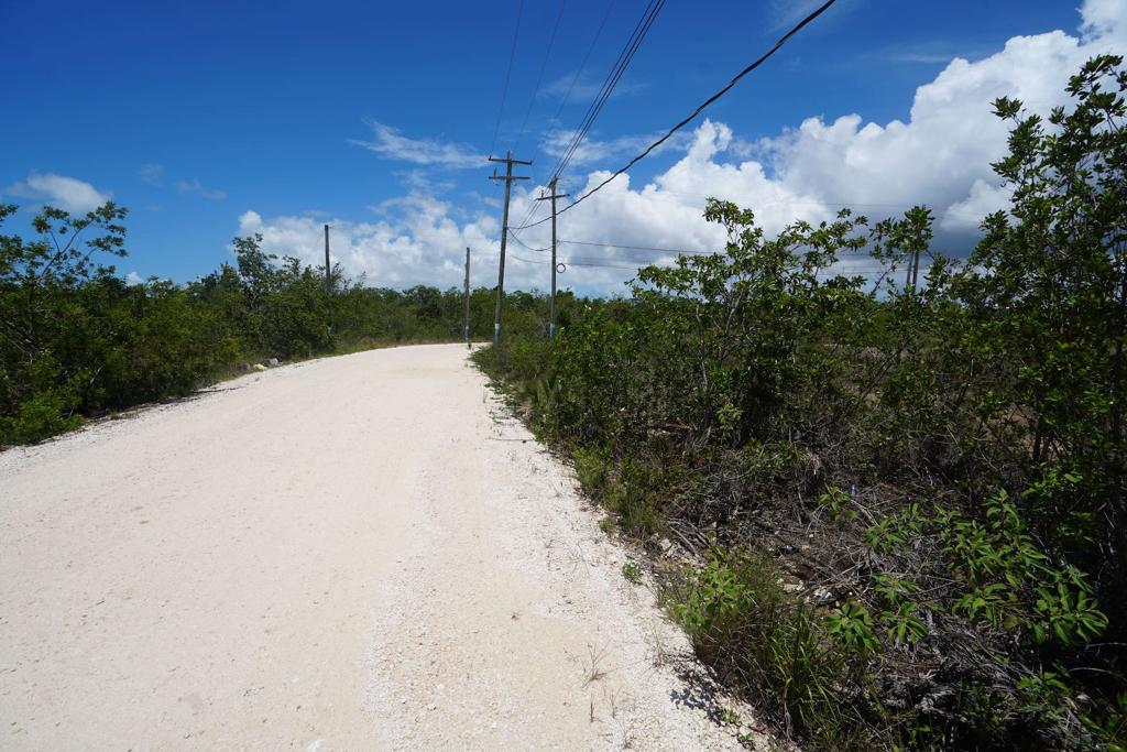 listing image with ID 85764