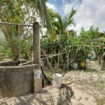 listing image thumbnail with ID 104798