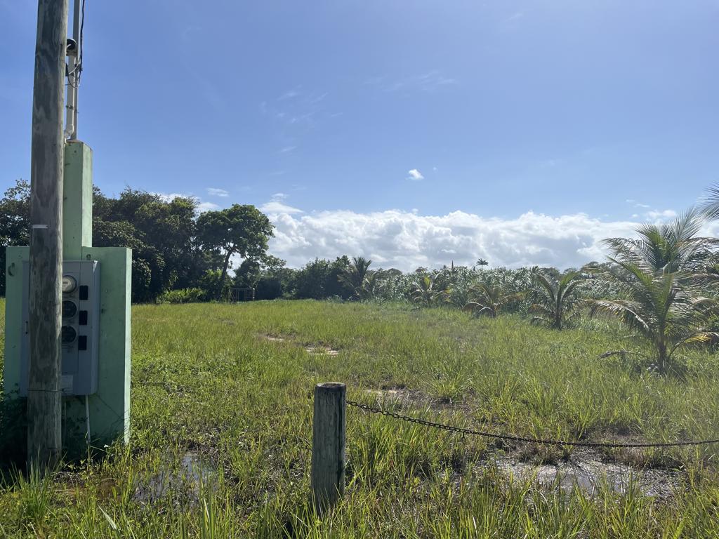 listing image with ID 100607