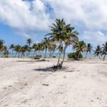 listing image thumbnail with ID 95455