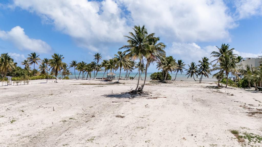 listing image with ID 95455