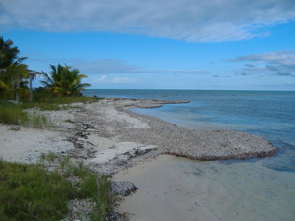listing image with ID 77938