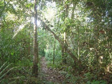 listing image with ID 85060