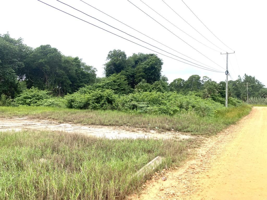 listing image with ID 79730