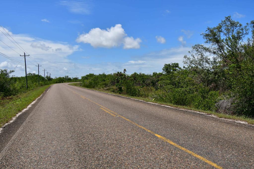 listing image with ID 86348