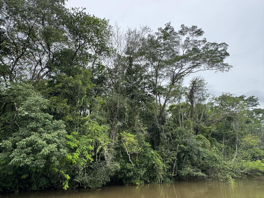 listing image with ID 95848