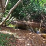 listing image thumbnail with ID 84053