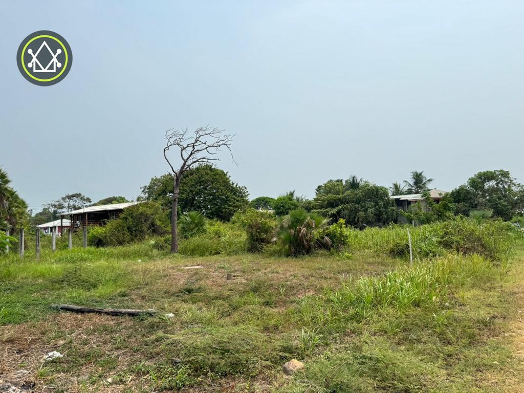 listing image with ID 102323